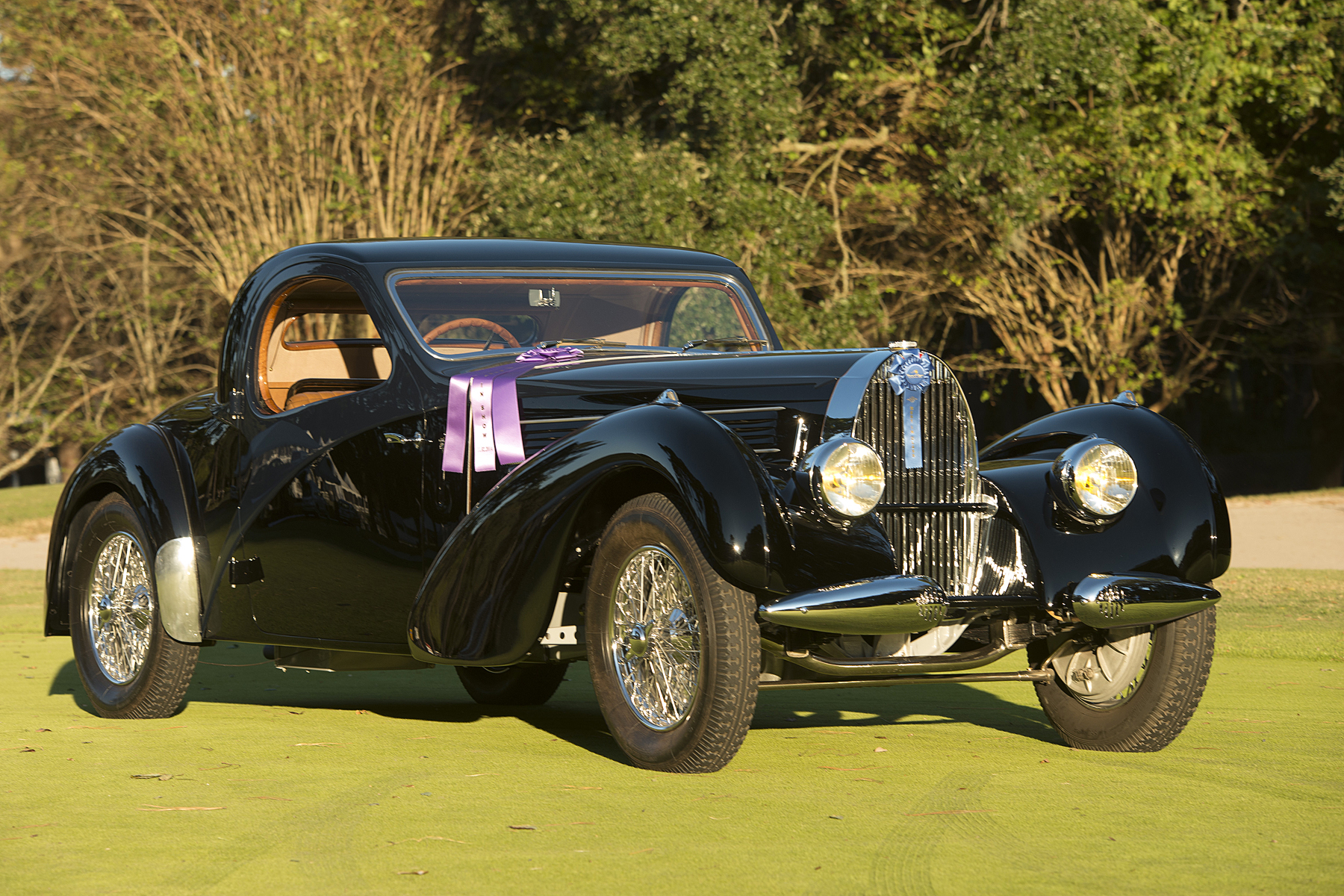 Best of Show - 1938 Bugatti Type 56C - Image 2