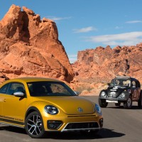 Beetle Dune-13