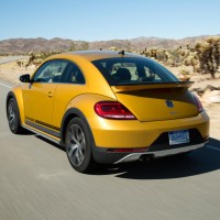 Beetle Dune-17