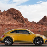 Beetle Dune-2