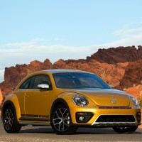 Beetle Dune