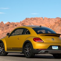 Beetle Dune-3