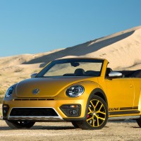 Beetle Dune-9