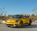 2016_beetle_dune_5776(1)