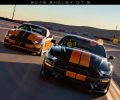 2019ShelbySIXT_Page_1